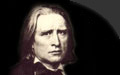 Liszt in Wikipedia