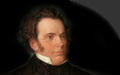 Schubert in Wikipedia